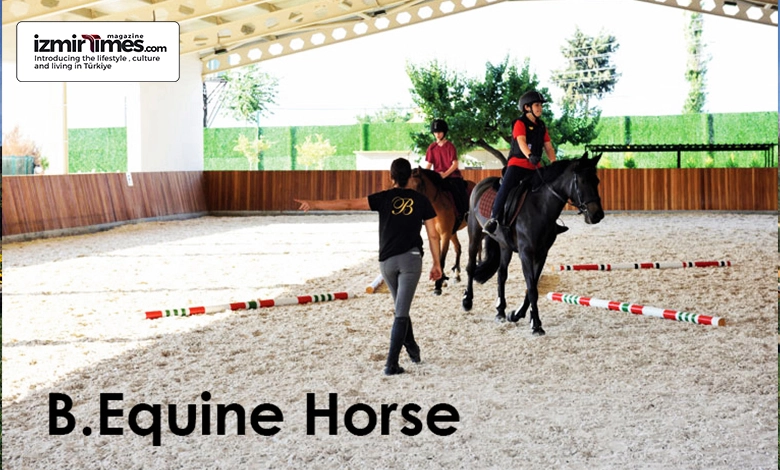 Equine Horse Riding Club