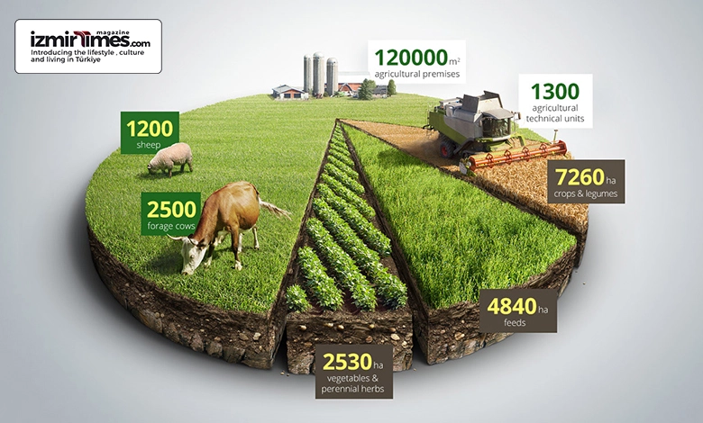 Izmir's agricultural export value